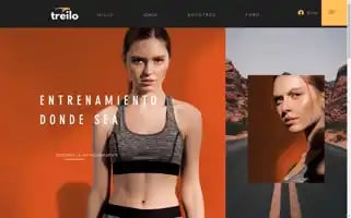 Treilo.com Screenshot 2024-07-06 13:32:44