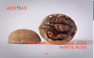 Adexas.com Screenshot 2024-07-05 20:28:43