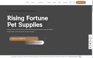 Risingfortunexyd.com Screenshot 2024-05-29 08:46:06