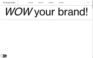 Thebrands.studio Screenshot 2024-06-17 11:16:41