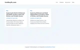 Trustbuyllc.com Screenshot 2024-05-23 15:08:59