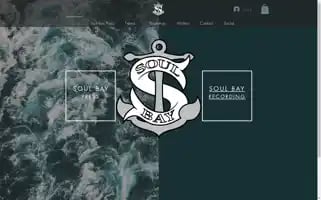 Thesoulbaypress.com Screenshot 2024-06-29 17:46:59