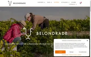 Belondrade.com Screenshot 2024-06-12 14:16:14