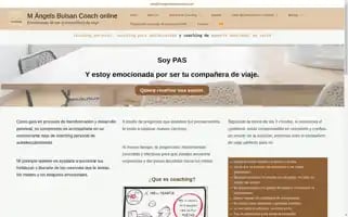 Mangelsbuisancoach.com Screenshot 2024-05-27 16:19:27