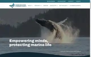 Mersociety.org Screenshot 2024-07-03 15:46:19