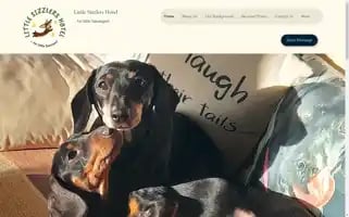 Littlesizzlershotel.co.uk Screenshot 2024-04-15 16:24:43