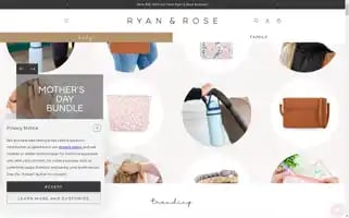 Ryanandrose.co Screenshot 2024-05-05 22:06:23