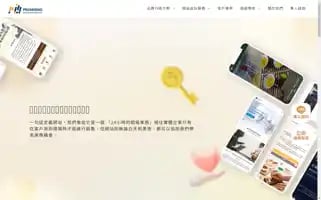 Promise-marketing.com Screenshot 2024-06-16 18:59:59