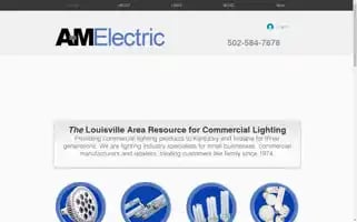 Amelectric.com Screenshot 2024-06-13 12:26:36
