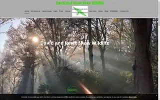 David-shaw.com Screenshot 2024-06-13 04:39:21