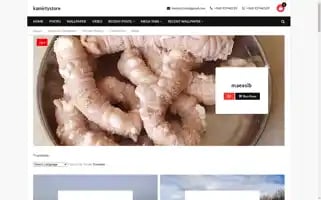 Kamirtystore.com Screenshot 2024-05-17 05:26:00