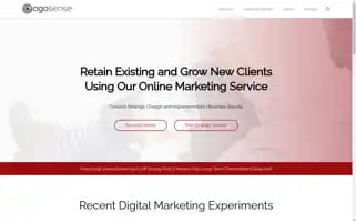 Ogosense.com Screenshot 2024-06-14 03:39:12