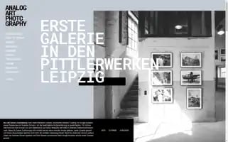 Analog-art-photography.de Screenshot 2024-07-02 20:38:08
