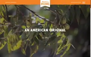 Americanpecan.com Screenshot 2024-06-19 07:20:27