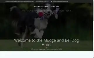 Mudgeandbeldoghotel.co.uk Screenshot 2024-04-15 04:56:15