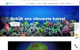 Koraalwereld.nl Screenshot 2024-05-18 05:07:50