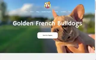 Goldenfrenchbulldogs.com Screenshot 2024-05-24 07:19:36