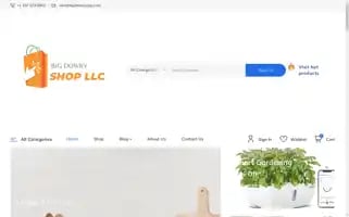 Bigdowryshop.com Screenshot 2024-05-29 01:35:15