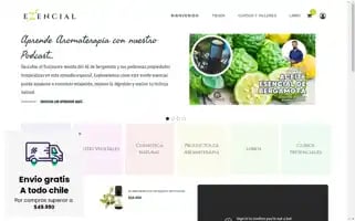 Ezencial.cl Screenshot 2024-06-16 22:45:51