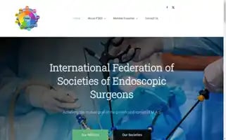 Ifses.org Screenshot 2024-07-04 06:26:01
