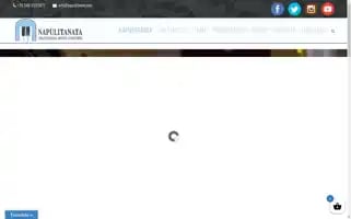 Napulitanata.com Screenshot 2024-06-28 01:36:56