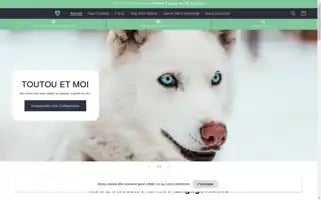 Toutouetmoi.com Screenshot 2024-05-02 06:10:50