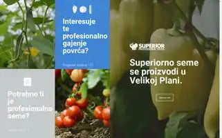 Superior-seeds.co.rs Screenshot 2024-06-19 03:03:11