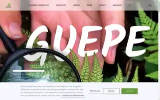 Guepe.qc.ca Screenshot 2024-06-18 02:03:58