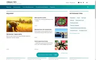 Shyn.ru Screenshot 2024-07-09 14:55:28