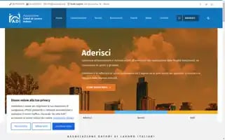 Assoadi.org Screenshot 2024-06-17 08:39:05