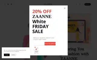 Zaanne.com Screenshot 2024-05-28 20:52:42