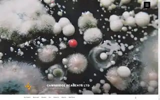 Cambridgereagents.co.uk Screenshot 2024-05-22 05:00:19