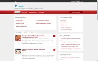 Gazianteptube.com Screenshot 2024-06-14 00:33:48