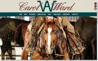 Carolwardcuttinghorses.com Screenshot 2024-07-04 00:19:34