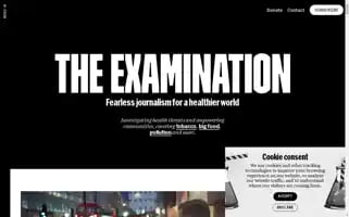 Theexamination.org Screenshot 2024-07-01 14:38:17