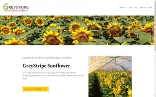 Californiagreystripe.com Screenshot 2024-04-15 16:45:25