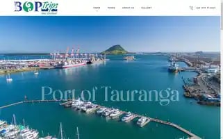 Boptrips.com Screenshot 2024-04-25 15:07:25