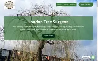 Londontreesurgeon.uk Screenshot 2024-05-24 11:43:40