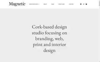 Magneticdesign.ie Screenshot 2024-06-15 06:05:10