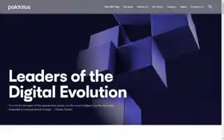 Paktolus.com Screenshot 2024-06-15 09:54:42