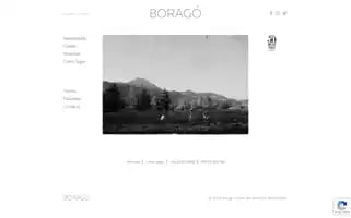 Borago.cl Screenshot 2024-07-10 02:39:12