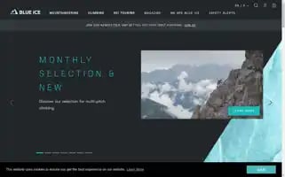 Blueice.com Screenshot 2024-05-05 15:14:40