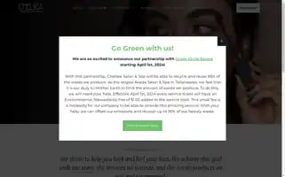 Chelseasalon.com Screenshot 2024-05-15 17:13:25