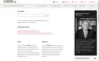 Ainm.ie Screenshot 2024-07-06 17:54:42