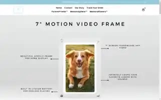 Forevermemora.com Screenshot 2024-05-04 00:27:27