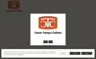 Toxqui.com Screenshot 2024-06-11 09:52:23