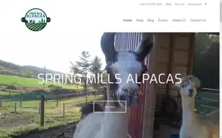 Springmillsalpacas.com Screenshot 2024-05-18 12:42:03