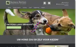 Hondenhotelnumerodertien.nl Screenshot 2024-04-26 19:34:18