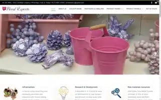 Driedexotics.com Screenshot 2024-05-09 11:39:29