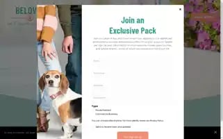 Belovedpetphoto.com Screenshot 2024-07-07 04:11:04